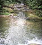 Imagen Bosque Protector Piedra Blanca